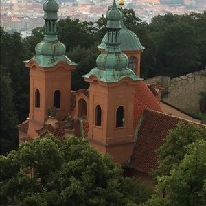 Meet your Posher, Vidya